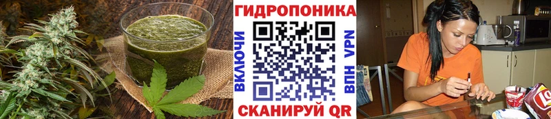 Canna-Cookies марихуана  нарко площадка клад  Нижнеудинск 