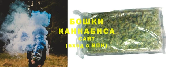 индика Горняк
