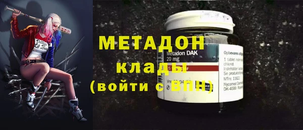 прущие грибы Горнозаводск