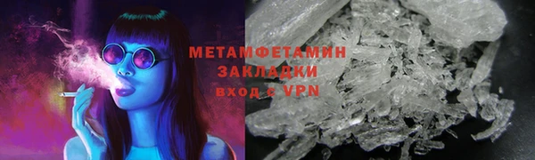 прущие грибы Горнозаводск