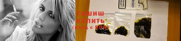 индика Гусь-Хрустальный