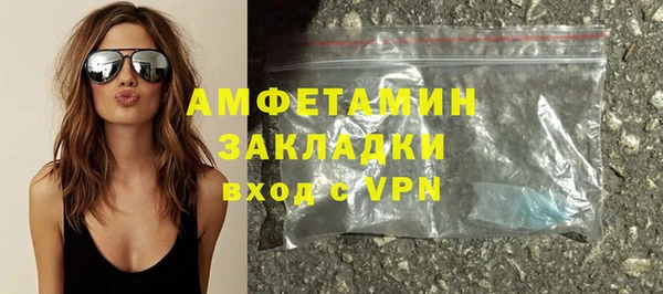 индика Гусь-Хрустальный