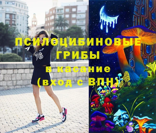 индика Горняк