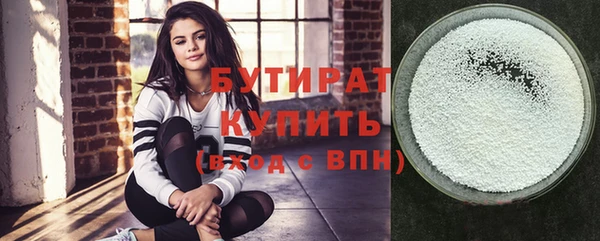 индика Гусь-Хрустальный
