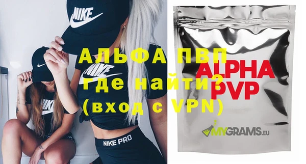 индика Горняк
