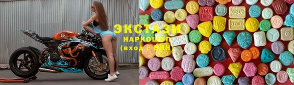 индика Гусь-Хрустальный