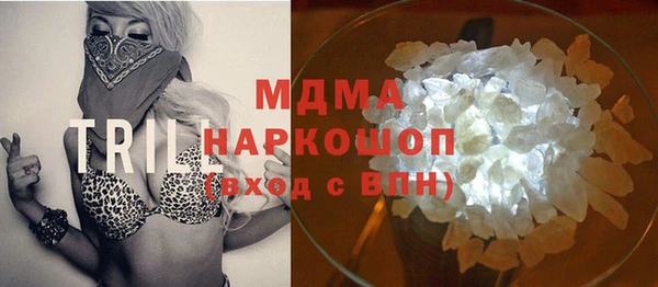 индика Гусь-Хрустальный