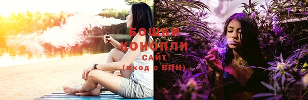 прущие грибы Горнозаводск
