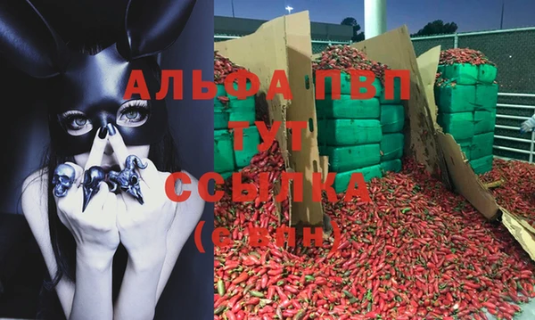 индика Гусь-Хрустальный