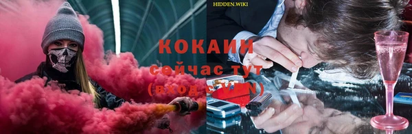 индика Горняк