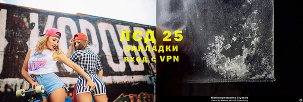 индика Горняк