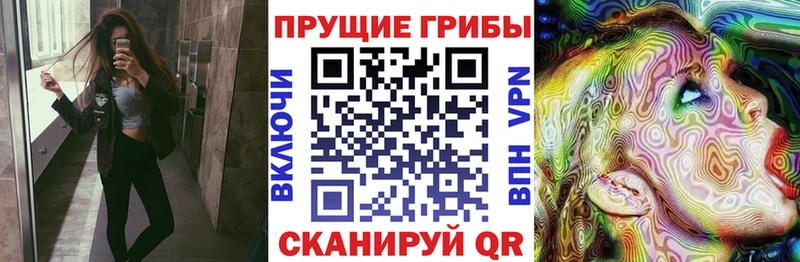 Галлюциногенные грибы Magic Shrooms  ОМГ ОМГ tor  Нижнеудинск 